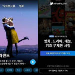 South Korean e-commerce company Coupang launches unlimited TV Coupang Play.